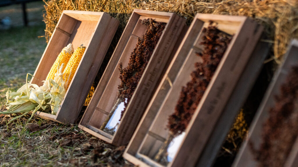 🌾 Don Wilder en el Ensayo ECR INTA Manfredi 2025